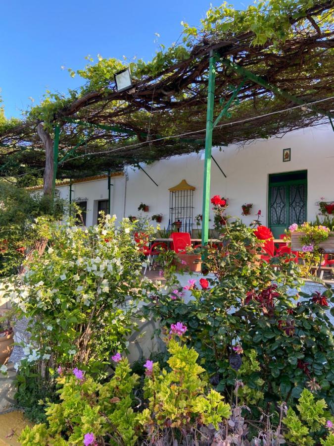 La Ponderosa Casa De Campo Sierra Grazalema Прадо-дель-Рей Экстерьер фото